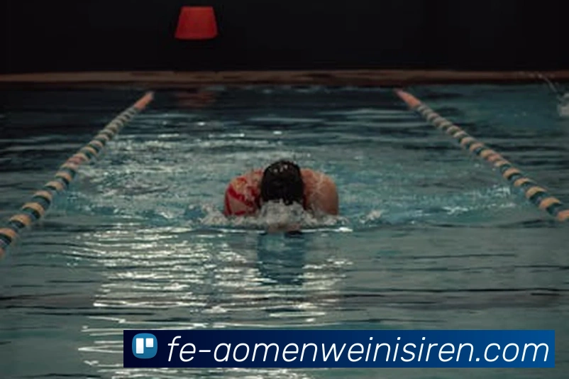 威尼斯人娱乐网站平台生态图